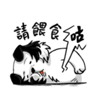 Happy Dogs Club:PAN-PAN is me（個別スタンプ：26）