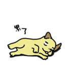 The voice of a smart dog（個別スタンプ：5）