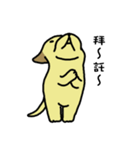 The voice of a smart dog（個別スタンプ：15）