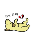 The voice of a smart dog（個別スタンプ：37）