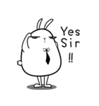 rabbit what happened（個別スタンプ：1）
