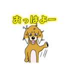 寝ぐせ坊君（個別スタンプ：2）