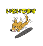 寝ぐせ坊君（個別スタンプ：15）