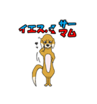 寝ぐせ坊君（個別スタンプ：21）