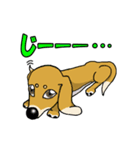 寝ぐせ坊君（個別スタンプ：23）