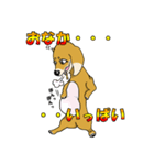 寝ぐせ坊君（個別スタンプ：30）