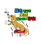 寝ぐせ坊君（個別スタンプ：40）
