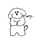 My Bichon！ We love you'3'（個別スタンプ：2）