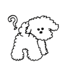 My Bichon！ We love you'3'（個別スタンプ：3）