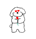 My Bichon！ We love you'3'（個別スタンプ：11）