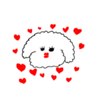 My Bichon！ We love you'3'（個別スタンプ：12）