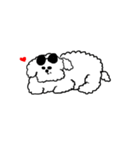 My Bichon！ We love you'3'（個別スタンプ：18）