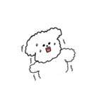 My Bichon！ We love you'3'（個別スタンプ：22）