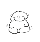 My Bichon！ We love you'3'（個別スタンプ：28）