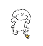 My Bichon！ We love you'3'（個別スタンプ：37）