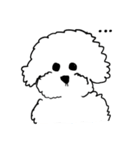 My Bichon！ We love you'3'（個別スタンプ：40）