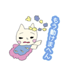 関西弁ニャンコ★日常会話☆（個別スタンプ：37）