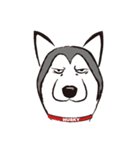 Huski's Daily（個別スタンプ：1）