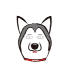 Huski's Daily（個別スタンプ：2）