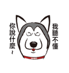 Huski's Daily（個別スタンプ：3）