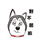 Huski's Daily（個別スタンプ：4）