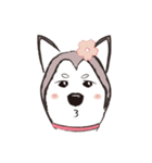Huski's Daily（個別スタンプ：5）