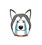 Huski's Daily（個別スタンプ：8）