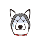 Huski's Daily（個別スタンプ：10）