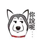 Huski's Daily（個別スタンプ：13）