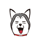 Huski's Daily（個別スタンプ：14）