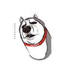 Huski's Daily（個別スタンプ：15）
