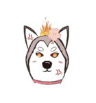Huski's Daily（個別スタンプ：19）