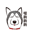 Huski's Daily（個別スタンプ：20）