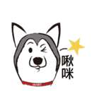 Huski's Daily（個別スタンプ：22）