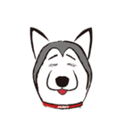 Huski's Daily（個別スタンプ：23）