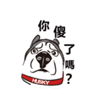 Huski's Daily（個別スタンプ：24）