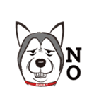 Huski's Daily（個別スタンプ：27）