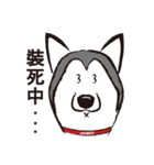 Huski's Daily（個別スタンプ：28）