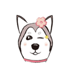 Huski's Daily（個別スタンプ：29）