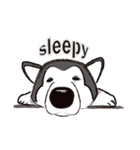 Huski's Daily（個別スタンプ：33）