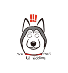 Huski's Daily（個別スタンプ：34）