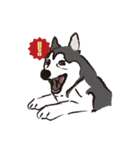 Huski's Daily（個別スタンプ：35）