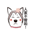 Huski's Daily（個別スタンプ：38）