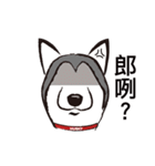Huski's Daily（個別スタンプ：39）