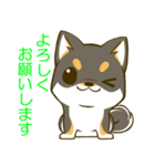 黒しばたん 1 黒柴犬 日本犬（個別スタンプ：14）