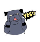 Crossfit Pug（個別スタンプ：2）