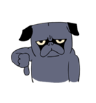 Crossfit Pug（個別スタンプ：9）