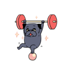 Crossfit Pug（個別スタンプ：10）