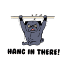 Crossfit Pug（個別スタンプ：13）