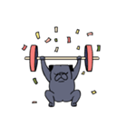 Crossfit Pug（個別スタンプ：17）